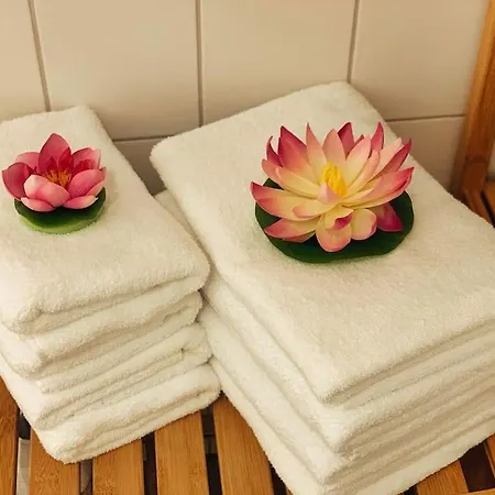 77 Qm Fewo Schlosspark Residenz Innenstadt Schwimmbad シュヴェリーン