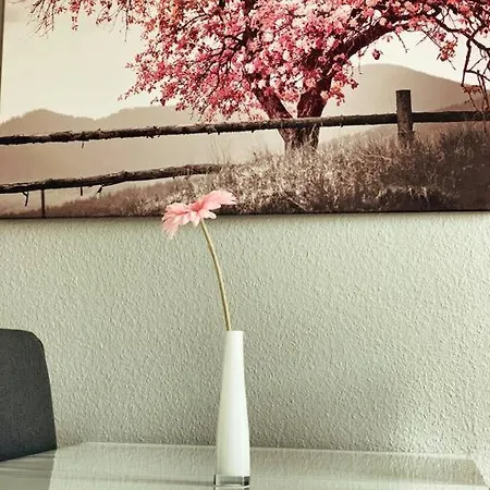 77 Qm Fewo Schlosspark Residenz Innenstadt Schwimmbad